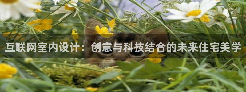 先锋银河娱乐