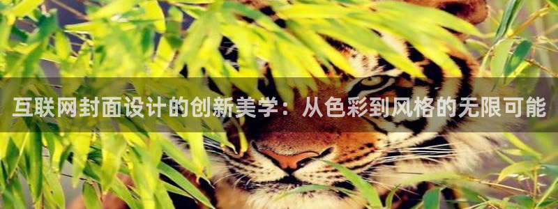 先锋娱乐大厅斗牛