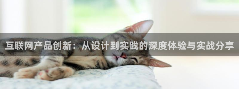 先锋综合娱乐