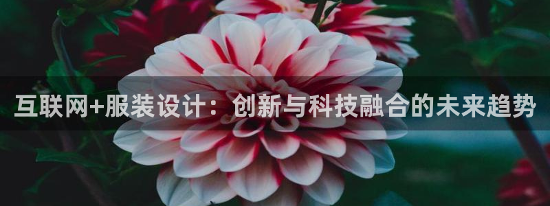 先锋娱乐情报