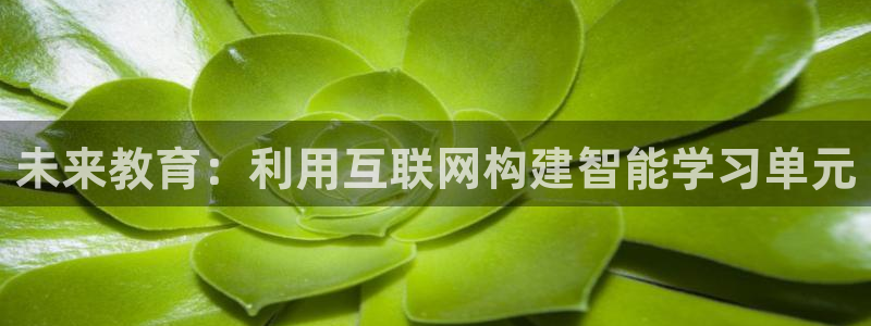 先锋娱乐资讯