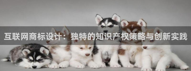 娱乐急先锋全集下载：互联网商标