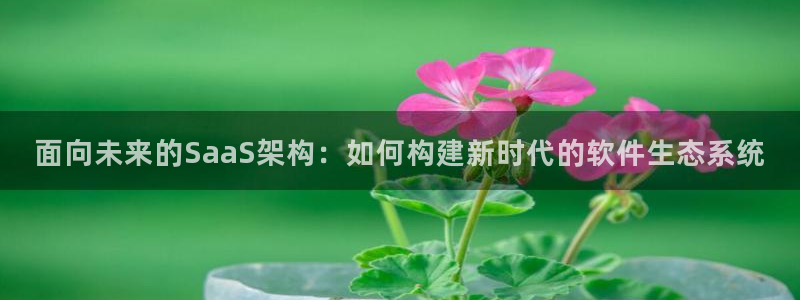 先锋娱乐大厅透视：面向未来的S