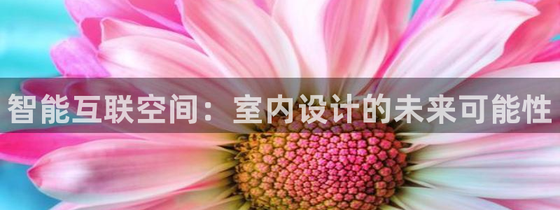 先锋娱乐手机：智能互联空间：室