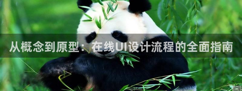 先锋娱乐简介图片