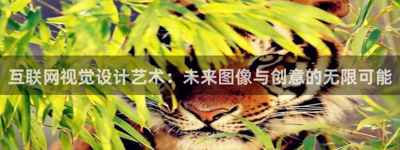 先锋娱乐电话