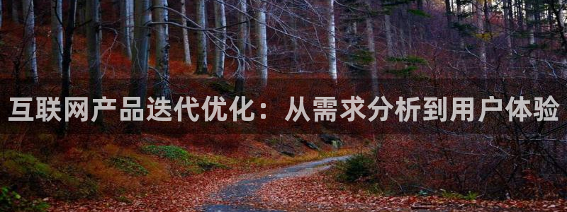 先锋娱乐系统