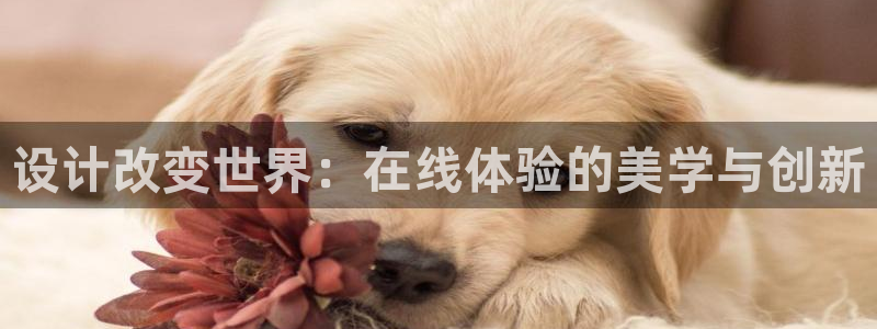 先锋娱乐属于违法吗