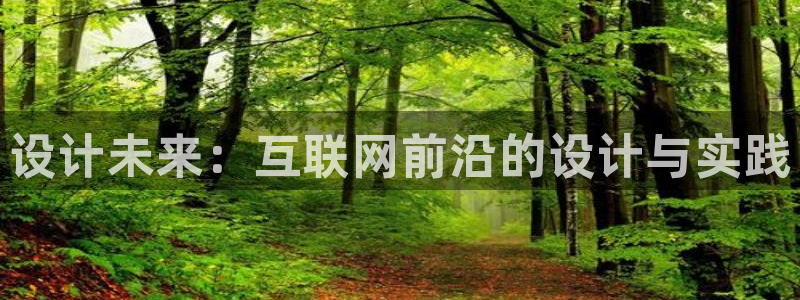 先锋 娱乐：设计未来：互联网前