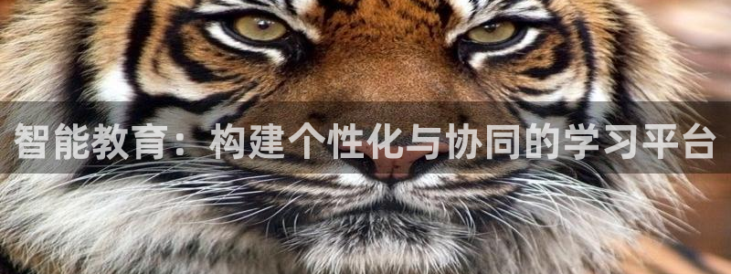 先锋方舟娱乐集团：智能教育：构