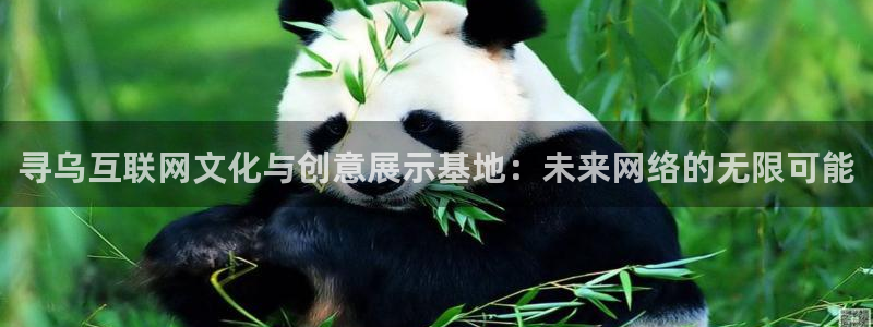 澳门先锋娱乐：寻乌互联网文化与