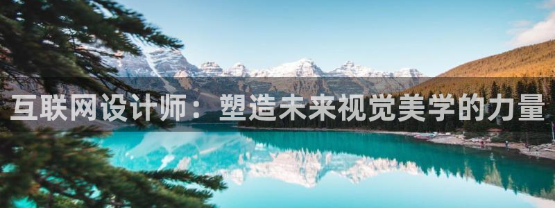 先锋娱乐电子游戏：互联网设计师
