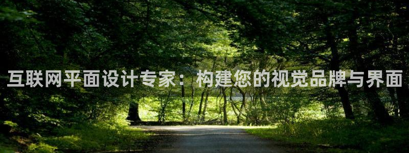 先锋娱乐客服中心：互联网平面设