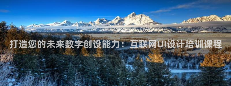 先锋娱乐汇：打造您的未来数字创