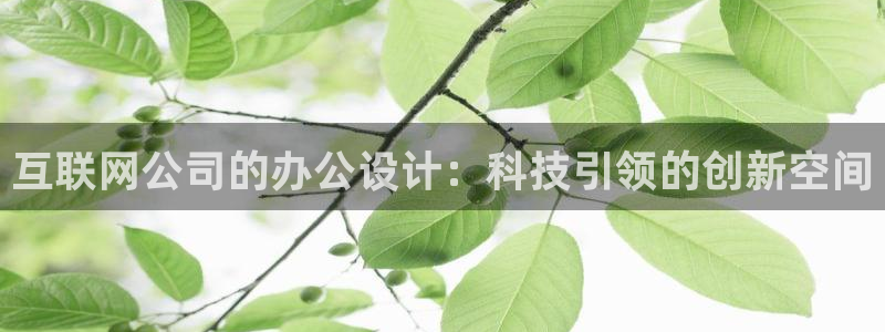 先锋娱乐团：互联网公司的办公设