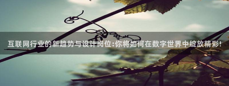 先锋娱乐平台：互联网行业的新趋