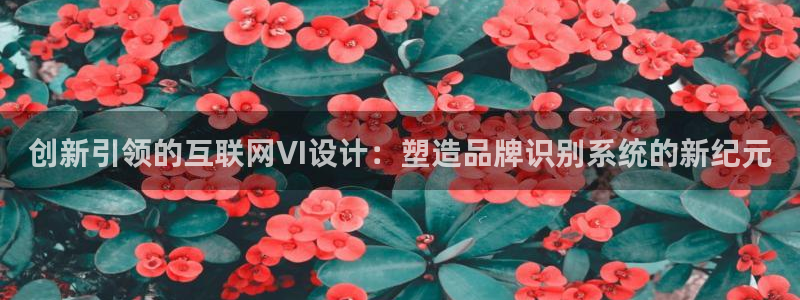 先锋综合娱乐