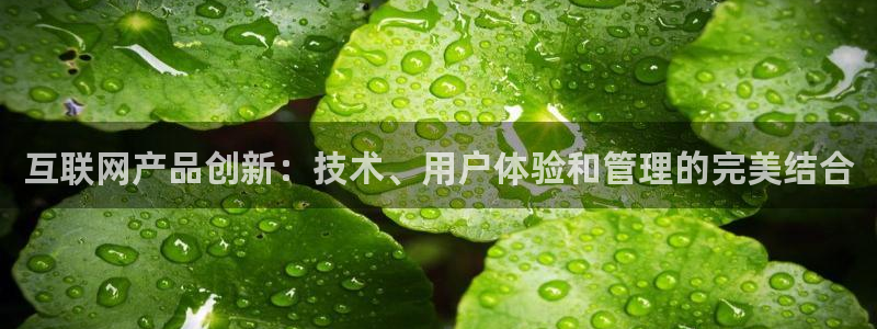 先锋国际娱乐