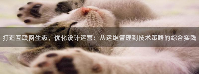 先锋娱乐公司