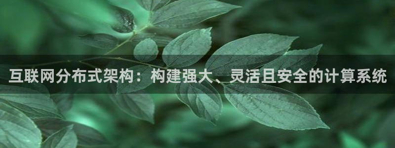 先锋娱乐大厅平台：互联网分布式