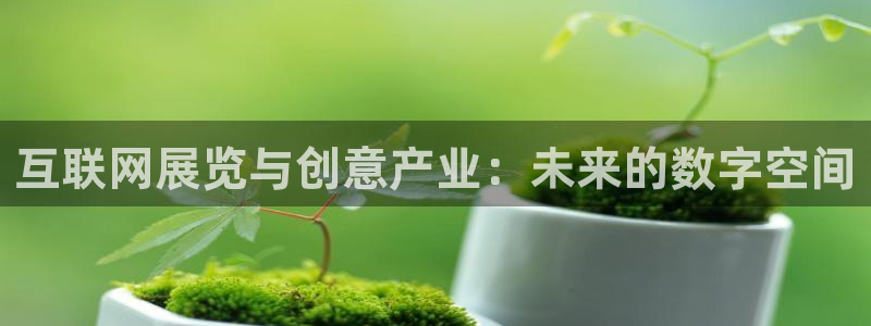 先锋娱乐体育管理集团：互联网展