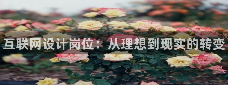先锋银河娱乐：互联网设计岗位：
