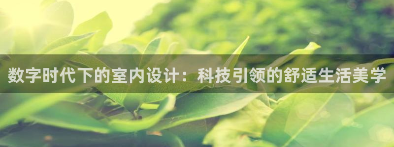 先锋互动娱乐