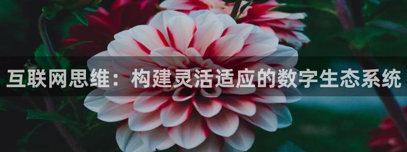 怎么下载先锋娱乐大厅
