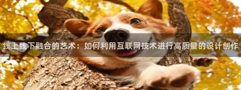 先锋娱乐团：线上线下融合的艺术