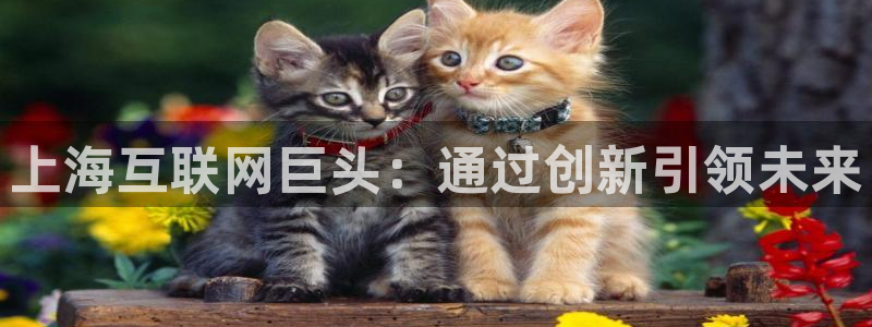 大连先锋娱乐