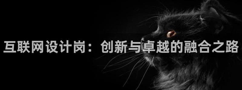 先锋娱乐公司：互联网设计岗：创