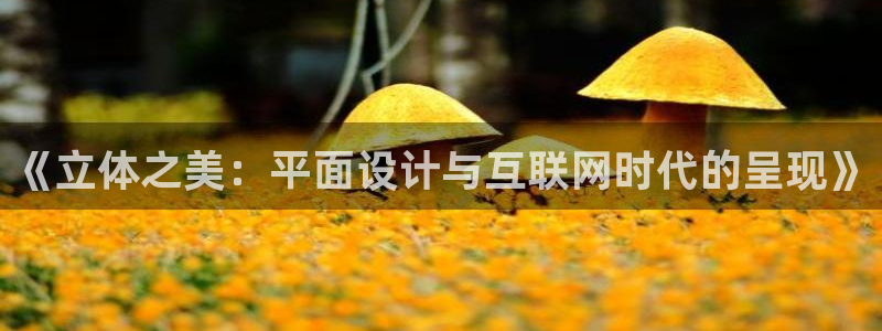 先锋娱乐登录：《立体之美：平面