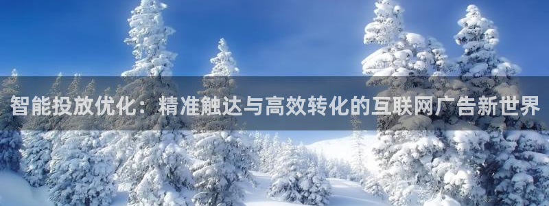 先锋娱乐电话：智能投放优化：精