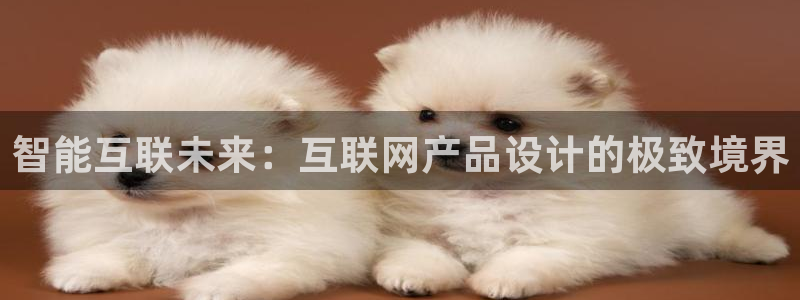 先锋娱乐场所：智能互联未来：互