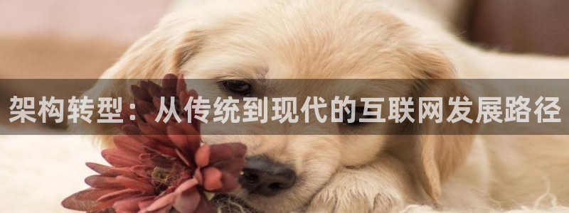 先锋娱乐管理集团怎么样