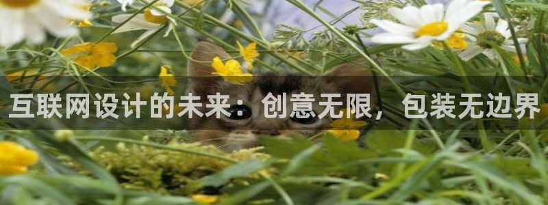 先锋电子旗下先锋娱乐