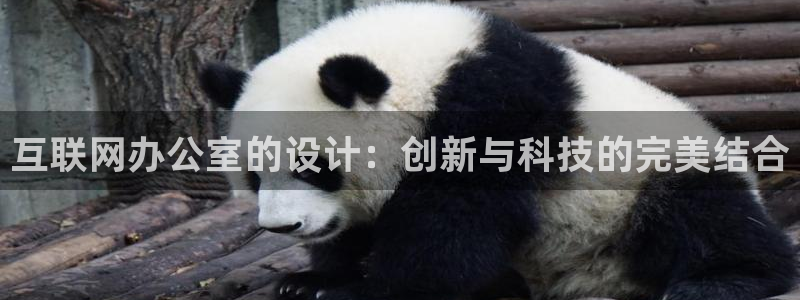 先锋娱乐游戏软件：互联网办公室