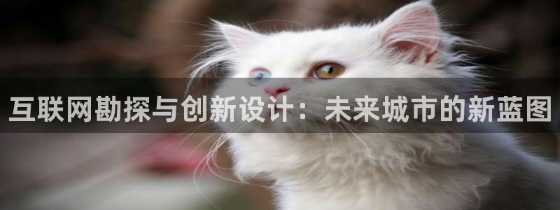 先锋娱乐邀请码多少：互联网勘探