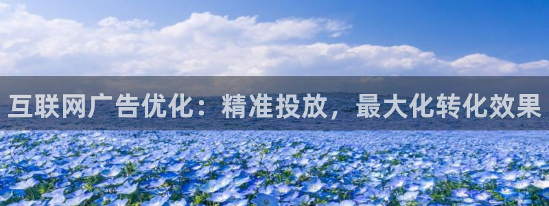 威斯汀娱乐先锋：互联网广告优化