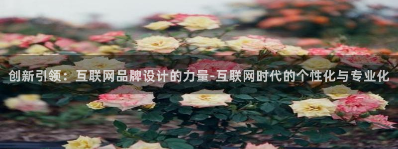 先锋娱乐网