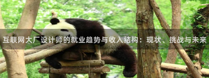 先锋娱乐管理集团招聘