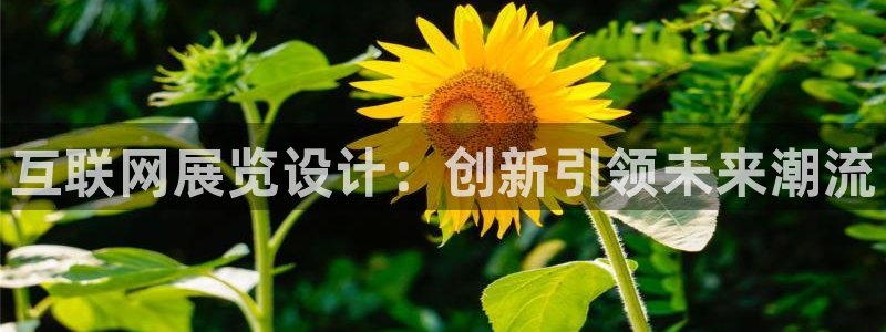 贵州先锋娱乐