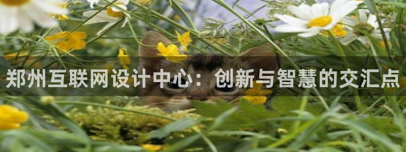 先锋娱乐游戏上分视频：郑州互联