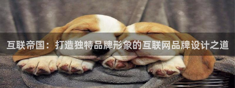 先锋娱乐汇