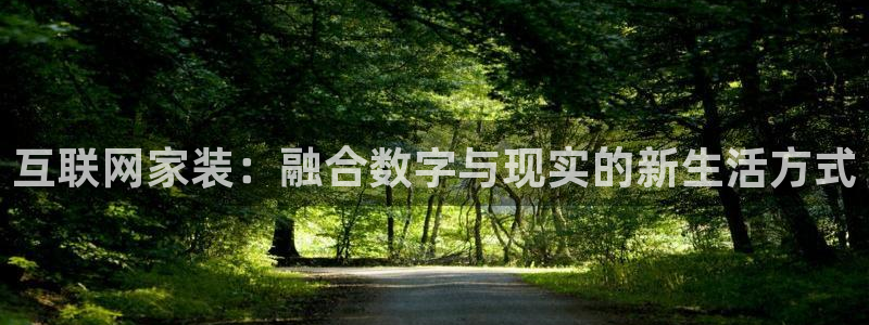 先锋娱乐游戏大厅下载：互联网家