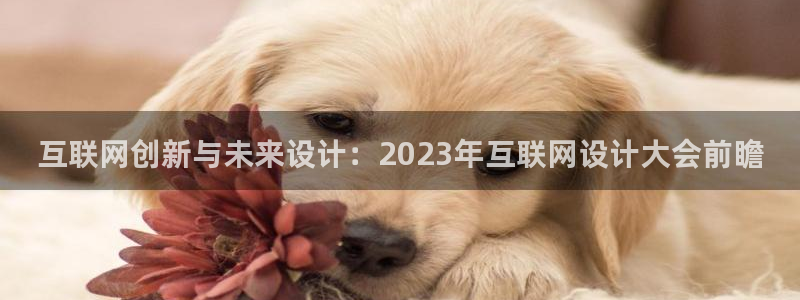 先锋娱乐官