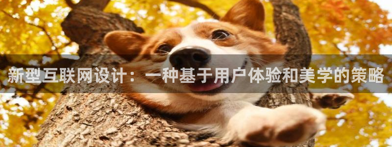先锋娱乐集团公司：新型互联网设
