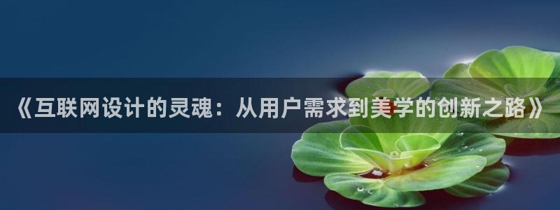 先锋支付娱乐城：《互联网设计的